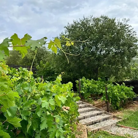 ヴィラ The View With Heated Pool , Modern Comfort In Herzegovina *